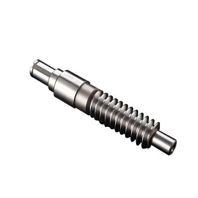 Reducer worm with high wear resistance and low backlash